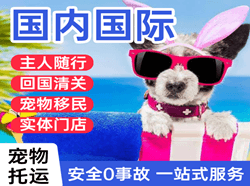 惠州航空运输国际宠物托运 【国
